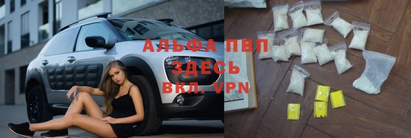 PSILOCYBIN Рославль