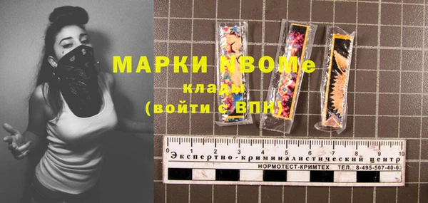 сатива Ростов