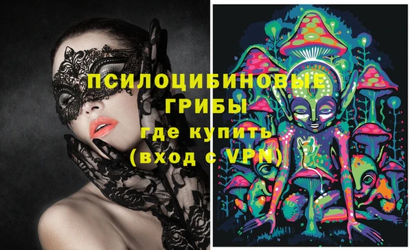 ешки Абинск